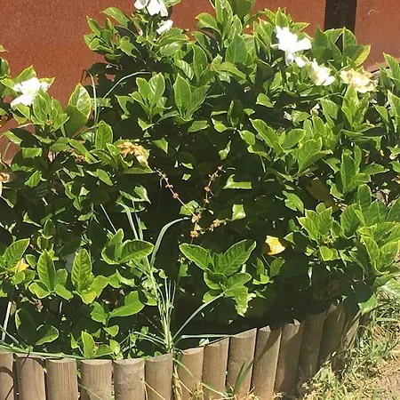 Casa Con Jardin En Ideal Para Familias * Comarca de Pontevedra